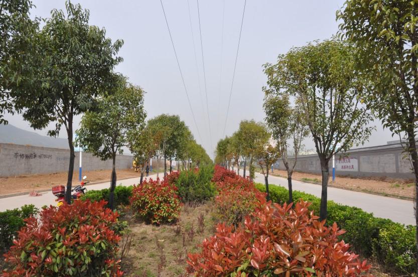 西北家具工業(yè)園廠房出租